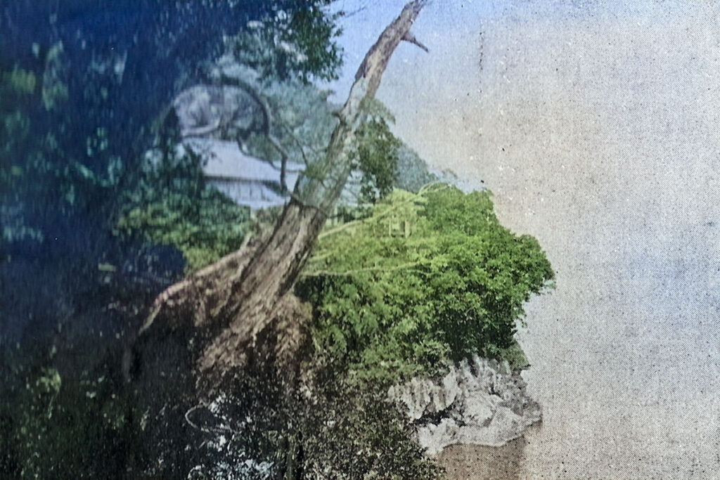 近江竹生島